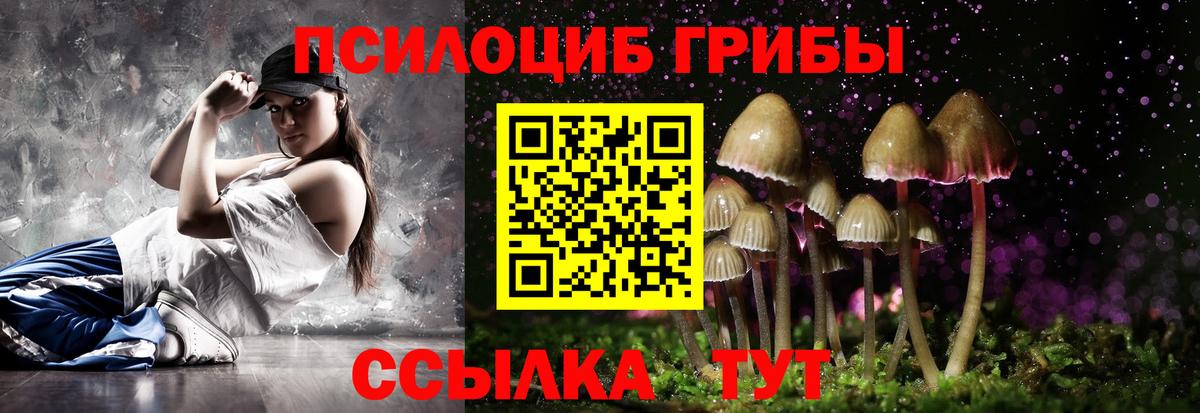 Галлюциногенные грибы GOLDEN TEACHER Грозный